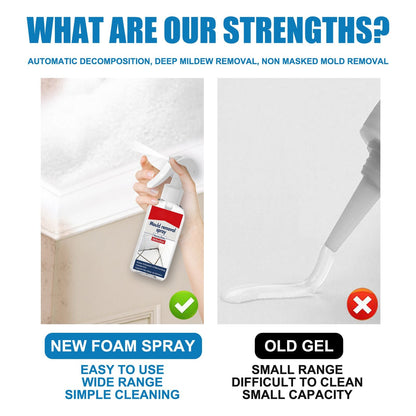 All-purpose Mildew Removal Spray（Buy 2 Get 1 Free）