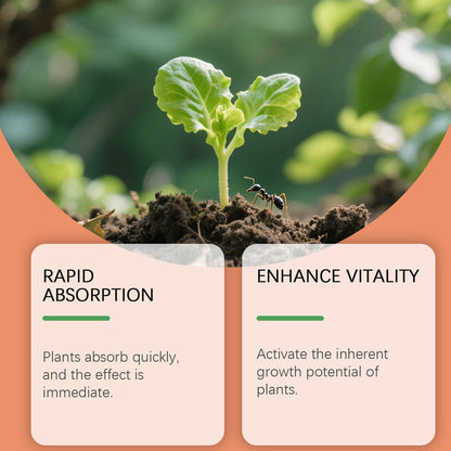 Liquid Rooting Hormone